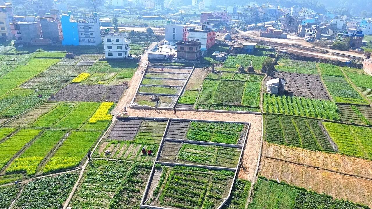 मुलपानी पारी, चलेको मूल्यभन्दा 10 लाख सस्तोमा Emergency जग्गा बिक्री