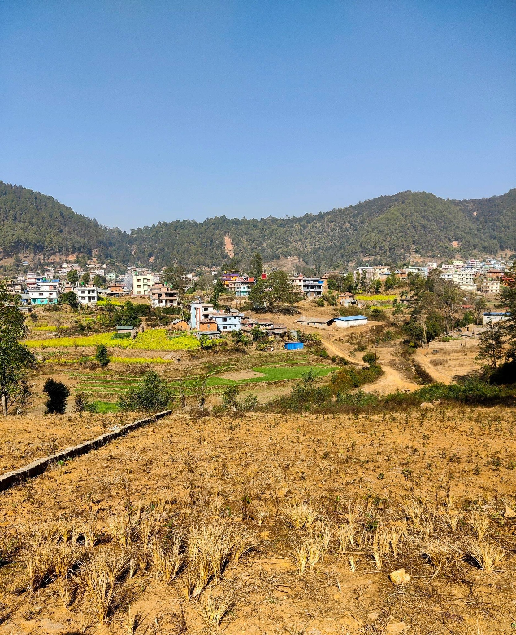3 आना जग्गा Emergency बिक्रीमा