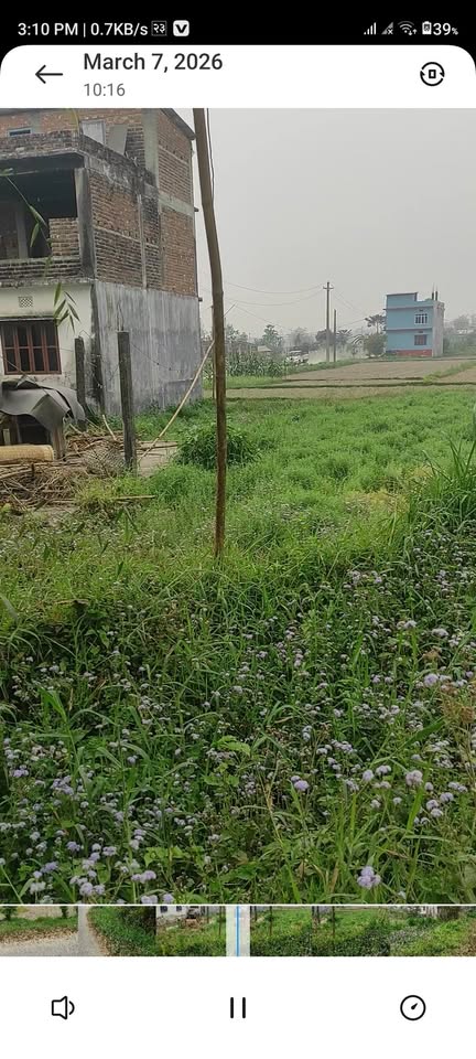 land for sale in beautiful Haricha Virat Chowk