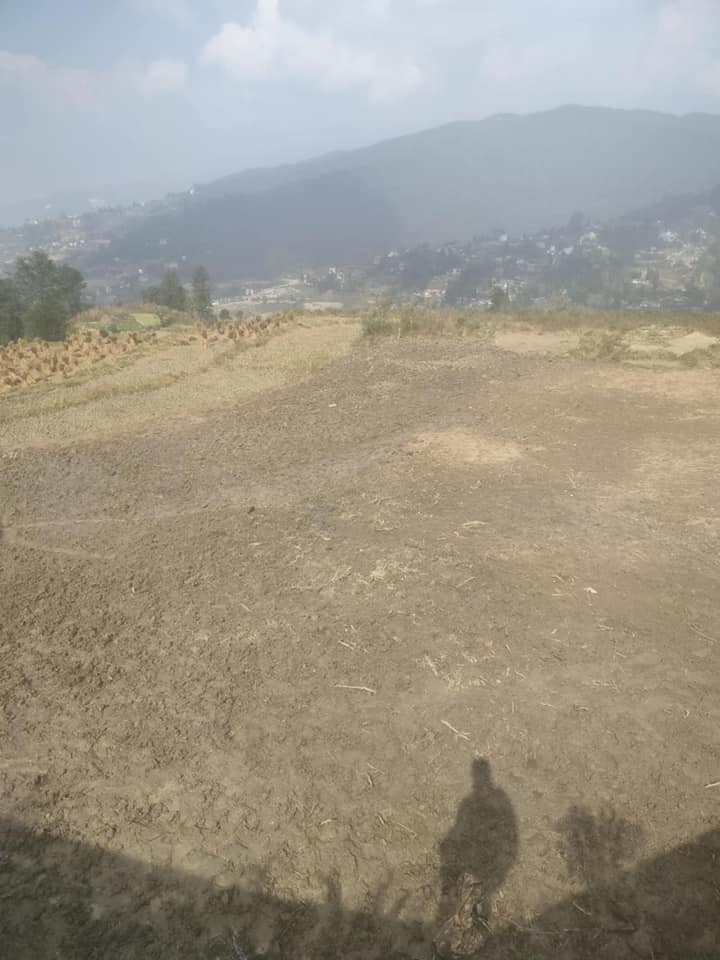 land on sale
