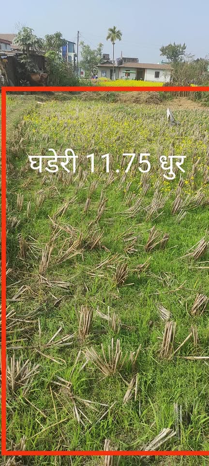 Land on sale