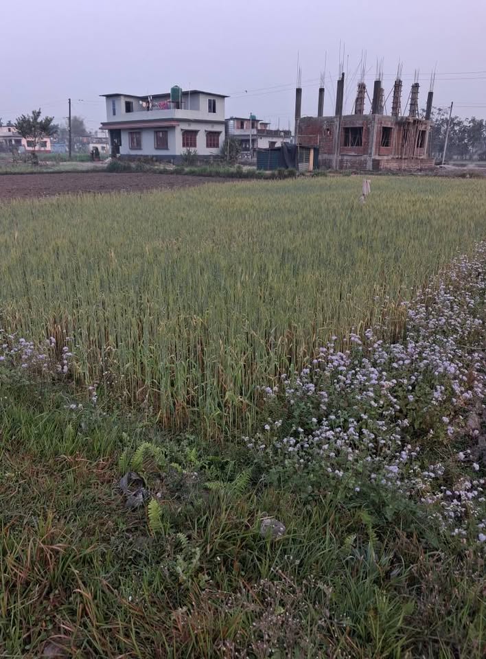 land on sale