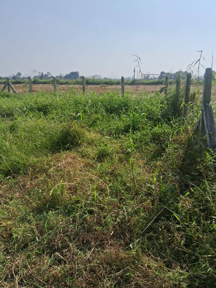 Land on sale