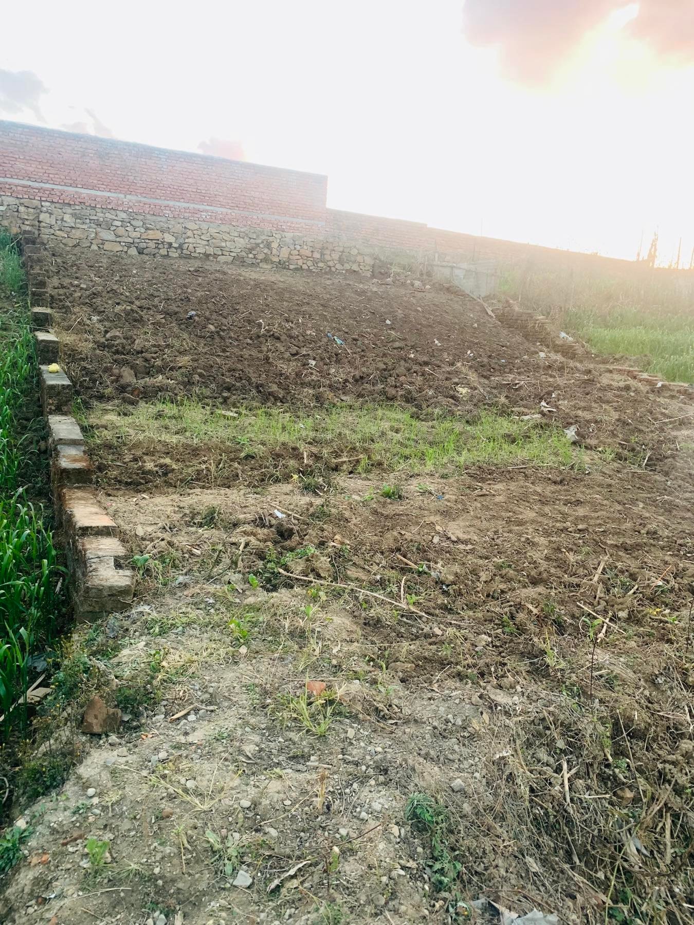 जग्गा बिक्रिमा।