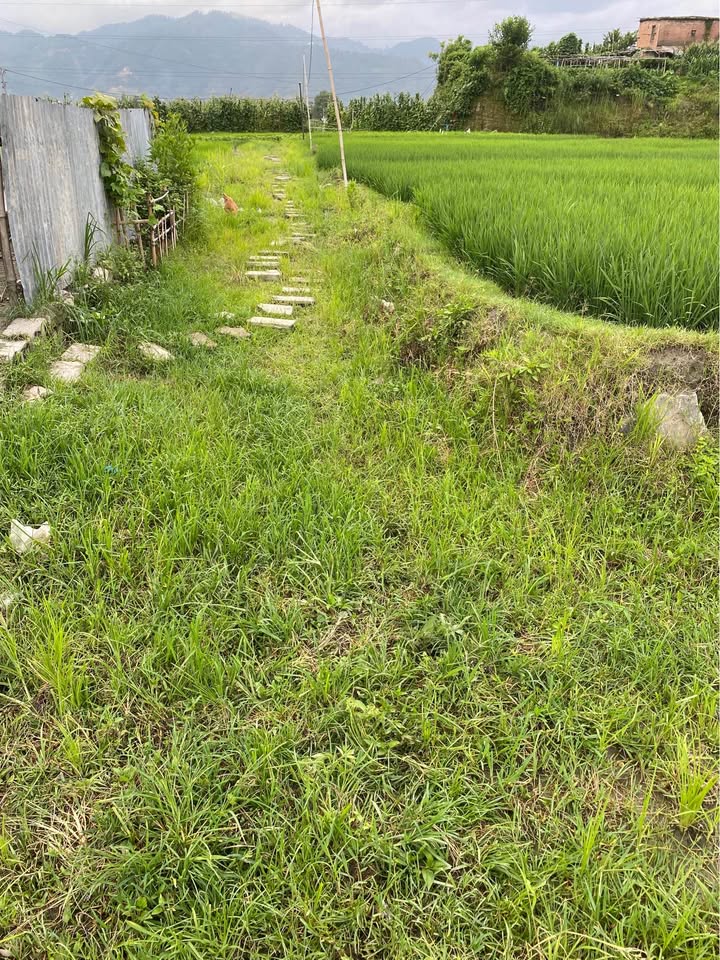 land on sale