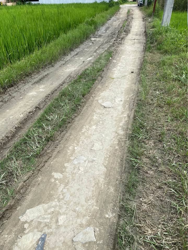land on sale